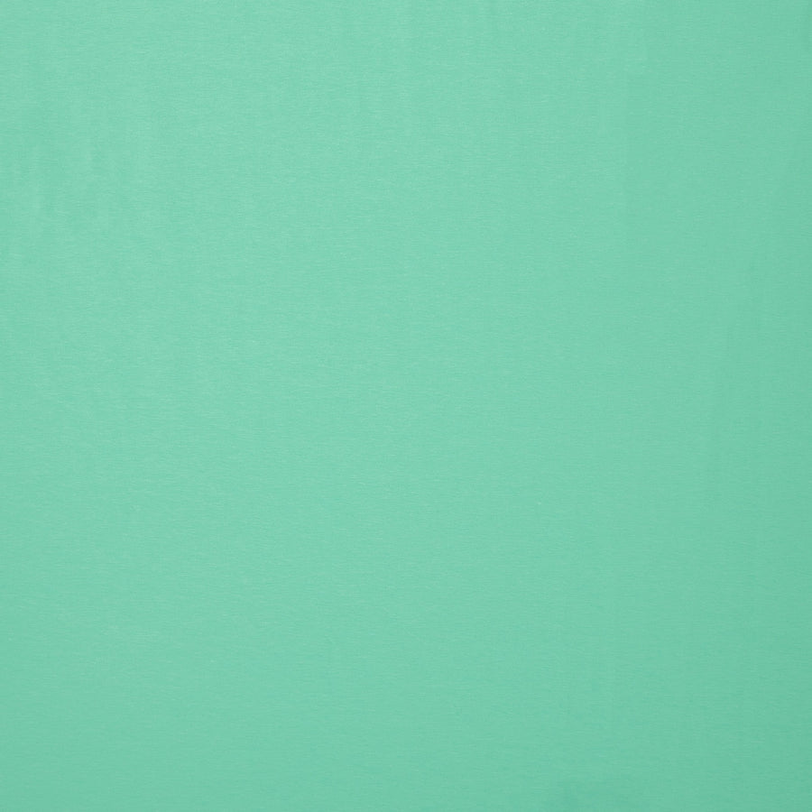 Jerseystoff | uni hellmint