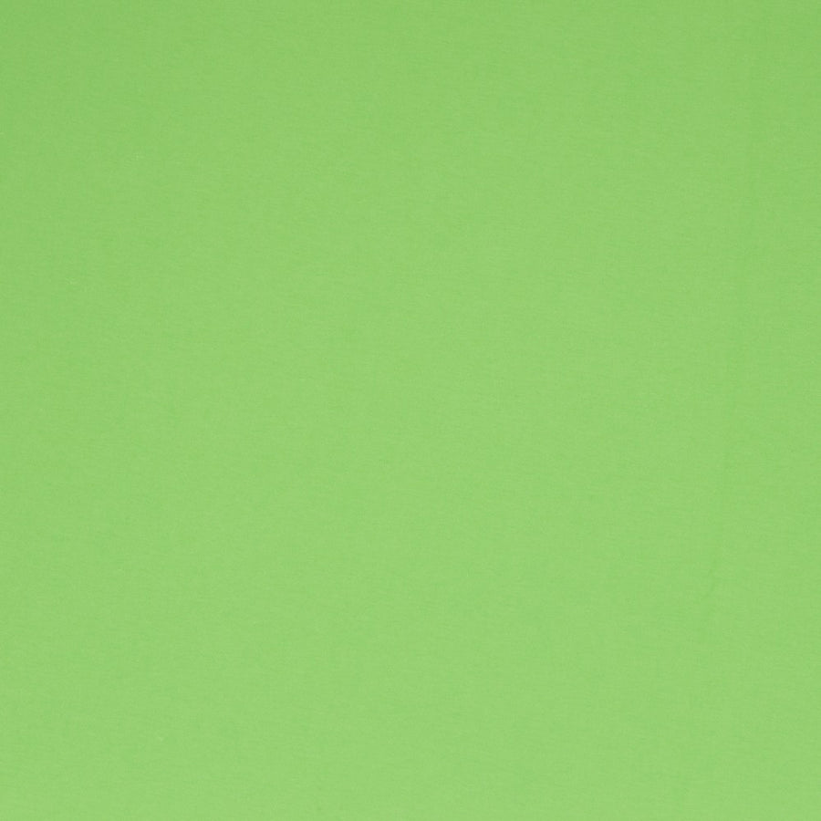 Jerseystoff  | uni hellgrün